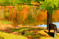 Warm Reflections