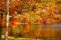 Warm Hues on a Countryside