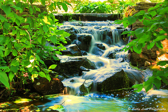 Oasis 2