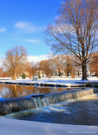 Winter at the Duck Pond - Vertical
