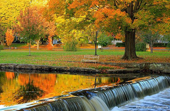 Warm Autumn Glow