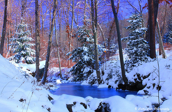 L-Winter Forest