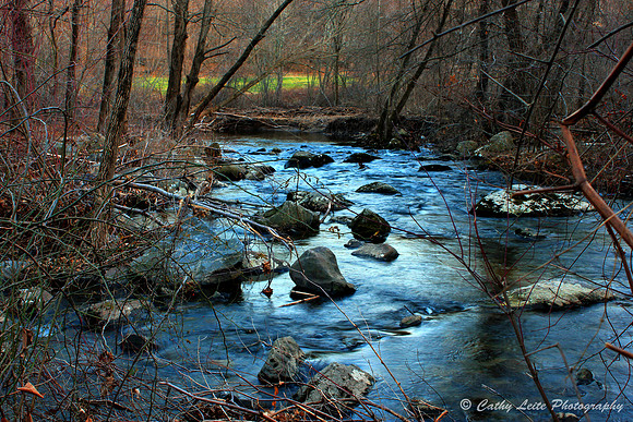 Q-Forest Stream