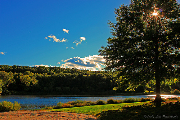Sunlit Lake
