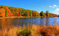 Hop Brook in Fall