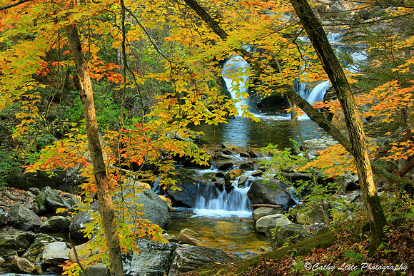 Autumn Woods Waterfall