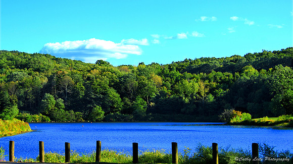 Lake Entrance